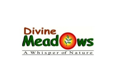DIVINE Meadows