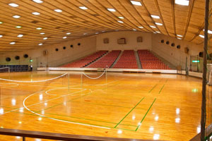 Gymnasium